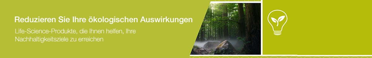 21298_WE46331-header-footprint_text_DE_
