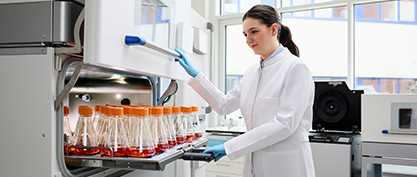 Accelerate Your Growth