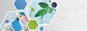 Organische Synthese Organische Synthese